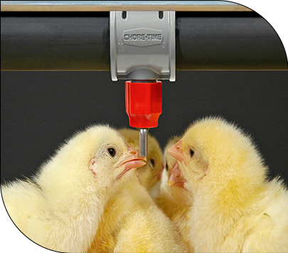 آبخوری اتومات نیپل